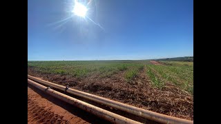 FAZENDA MELHOR PRECO ESTADO DE SAO PAULO  40 ALQUEIRES COM CANA 170 O ALQ