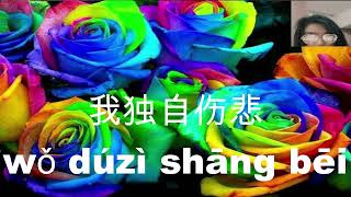 Du zi shang bei - Yi xin // 独自伤悲 - 易欣