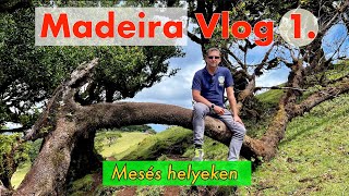 Madeira Vlog 1.rész: Repülés, Autóbérlés, Szállás, Árak, Tippek, Mesés helyek #madeira #utazás