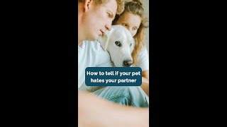 How to tell if your pet hates your partner