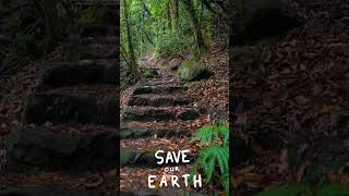 Stairway To....... Comment below where these stairs will take you! #ilikeearth #shorts