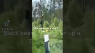 Black bear Chased a man up a tree #funnyvideo #blackbear ￼