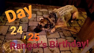 Skoolie Day 24, 25 Ranger's ( My Dog ) Birthday!