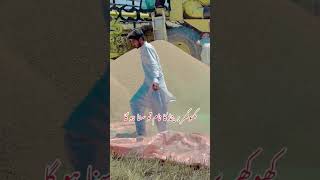 کھوکھر برینڈ کا نام تو سنا ہو گا #ptiofficia #unfrezzmyaccount #dancechoreography #ptioffical