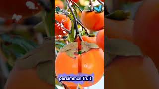 fallen split fruit #persimmon #persimmonfruit #fruit #funplay #shorts #youtubeshorts