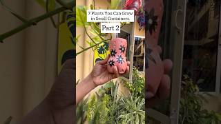 7 Best Plants For Bottle l Part 2 #bottle #plants #shorts #youtube