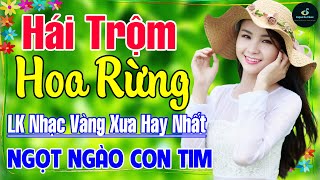 Hái Trộm Hoa Rừng ➤ Nhạc Vàng Xưa Hay Nhất Vượt Thời Gian ÊM TAI, DỄ NGỦ NGỌT NGÀO SÂU LẮNG CON TIM