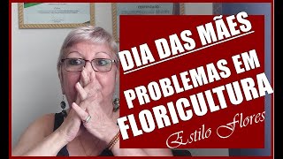 PROBLEMAS QUE ACONTECEM EM UMA FLORICULTURA NO DIA DAS MÃES