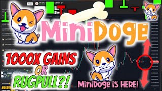 MINIDOGE COIN Update 1000X Token June 2021, New Low Market Cap Crypto ! How To Buy Mini Doge Coin