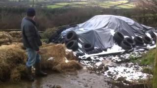 Life on a Dartmoor Farm - 2