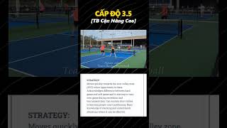 Chuẩn Đánh Giá Kỹ Năng Người Chơi Pickleball P4 #pickleball #dupr #thethao #pickleballtutorial