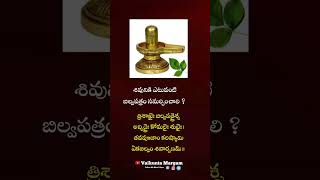 కార్తీక మాసం బిల్వపత్రలు karthika masam bhilvapatralu #karthika_masam #telugufacts #telugu #vaikunta