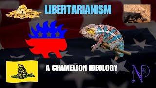 Libertarianism - what is it?