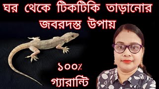 ঘর থেকে সব টিকটিকি বেরিয়ে যাবে পাঁচ মিনিটে এই ঘরোয়া রেমেডি দিয়ে // Insect killer remedies