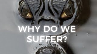 Why do we suffer?  | Simon