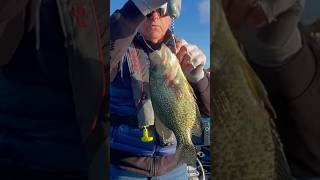 Chomp on big crappie