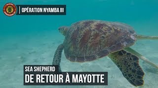 Sea Shepherd revient à Mayotte pour l'Opération Nyamba 3