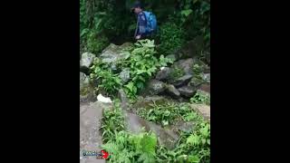 Curug Pelangi Girijaya || Pesona Tersembunyi Di Sukabumi