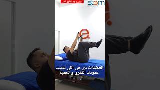 تمارين وجع الظهر العنيد#علاج #الظهر #الم #وجع #التهاب #تمارين #fitness