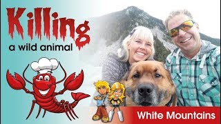 VANLIFE #130 - Killing a wild animal !