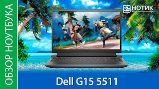 Обзор ноутбука Dell G15 5511. "Мне нельзя на Луну, я слишком тяжеленький, ракета меня не поднимет"