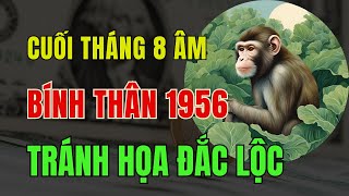 Tử Vi Tuổi Bính Thân 1956: Từ Giờ Đến Cuối Tháng 8 Âm. Tránh Họa Đắc Lộc: Tiền Về Tới Tấp, Giàu To