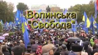 Волинська"Свобода" на Марші УПА в Києві 14.10.12