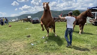 Targ de cai Sighetu-Marmatiei, Maramures#2021