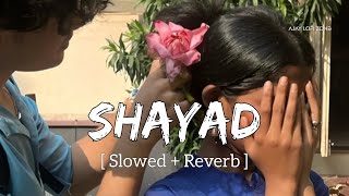 Shayad (Slowed + Reverb) Arijit Singh | Love Aaj Kal | Pritam | Ajay Lofi Zone