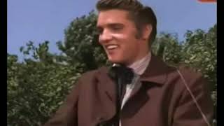 Elvis Presley "Let me" (com legendas)