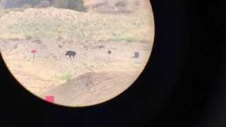 Remington 700P - Shooting Steel at 600 yards - 3 hits