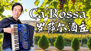 Ca'Rossa｜Italian Folk Song｜Accordion cover