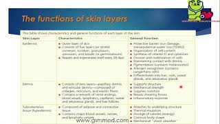 1-Skin layers