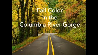 Fall Color in the Columbia River Gorge