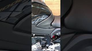 Bmw S1000XR 2019