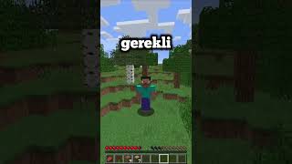 Minecraft AMA, Like Attığınızda Küçülüyorum😓