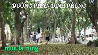 đường Phan đình Phùng mùa lá đổ