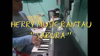 SAKURA HERRY MUSIC