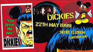 The Dickies - You Drive Me Ape (You Big Gorilla) (May 22, 1999 / Sedel Luzern, CH)