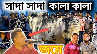 চাকা বাংলার রিপন ভাই অসাধারণ গলায় গান গেয়ে মুগ্ধ করলেন ত্রি-জেলা গরুর মেলার মাঠে উপস্থিত দর্শকদের