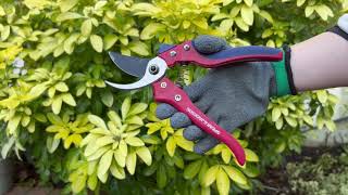 Spear & Jackson Razorsharp Advantage Large Bypass Secateurs