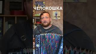 Человек и кошка