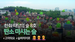 [한화 그룹 광고] 태양의 숲 8호: 탄소 마시는 숲