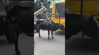 Bangalore traffic ￼