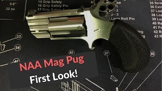 NAA Mag Pug First Look! - North American Arms Mag Pug 22 WMR / 22 LR