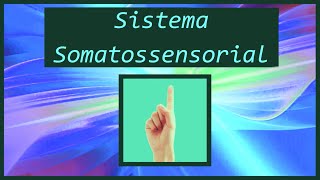 Sistema Somatossensorial