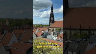 Münster bei Frühlingswetter 🌞 27.04.2024