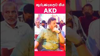 කුරුණෑගලට ගිය AKD  #kurunagala #malimawa #president #presidentsrilanka #anurakumara #akd #jvp #npp