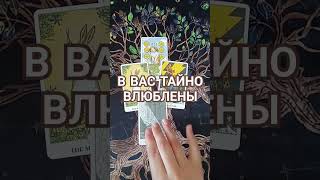 ✨Ваш поклонник🃏🔮#раскладнакартах #гаданиеонлайн #картытаро #tarot