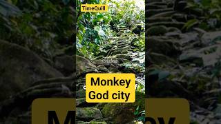 the Lost City of the Monkey God #explore #history